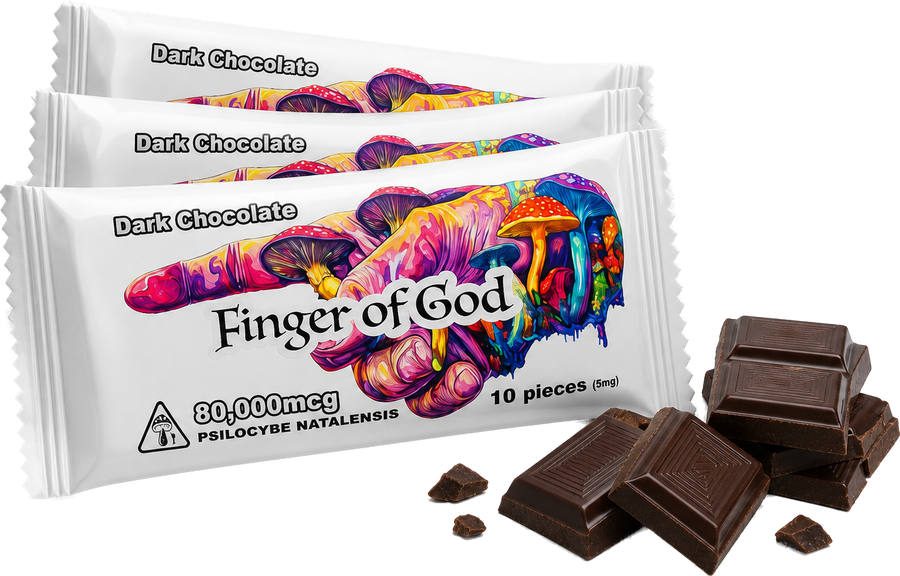 Psilocybin Chocolate · scored bars